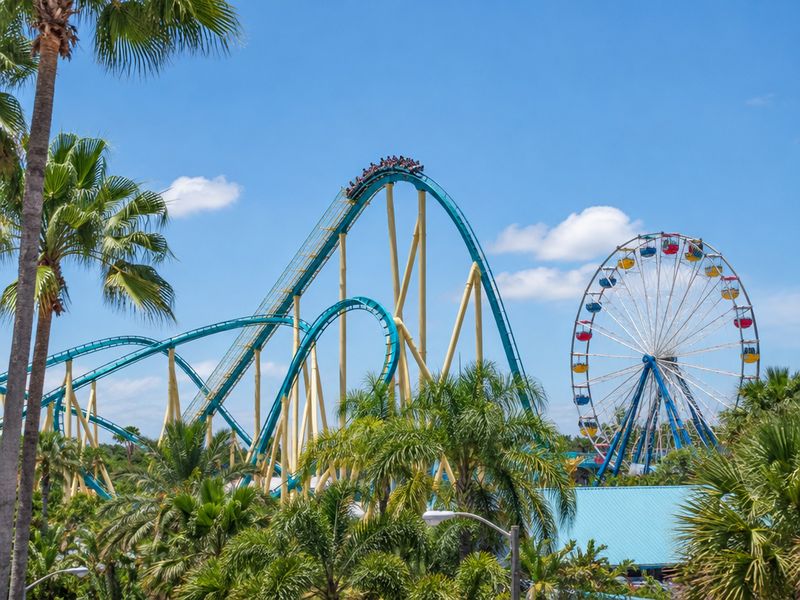 Theme park roller coaster and Ferris wheel under palm trees